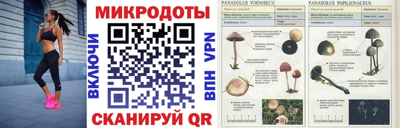 Купить где  Заинск  Псилоцибиновые грибы ЛСД 